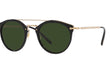 REMICK - BLACK | GOLD | GREEN | NON-POLARIZED