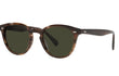 DESMOND LARGE - TUSCANY TORTOISE | GREEN | POLARIZED