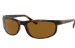 PREDATOR II - DARK HAVANA | BROWN | NON-POLARIZED