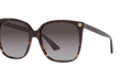 0022S - HAVANA | GRADIENT BROWN | NON-POLARIZED