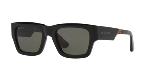 GG1668S-001