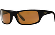 PEAHI - MATTE BLACK RUBBER | HCL BRONZE | POLARIZED