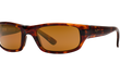 STINGRAY - TORTOISE | HCL BRONZE | POLARIZED