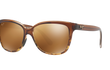 STARFISH - TRANSLUCENT CHOCOLATE | TORTOISE | HCL BRONZE | POLARIZED