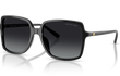 ISLE OF PALMS - BLACK | GRADIENT GREY | POLARIZED