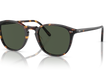 FORMAN L.A - TORTOISE | GREEN | POLARIZED