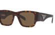 10ZS - TORTOISE | DARK BROWN