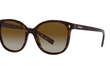 22ZS - TORTOISE | GRADIENT BROWN - POLARIZED
