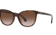 5282U - HAVANA BROWN | GRADIENT BROWN