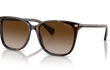 5293 - SHINY DARK HAVANA | GRADIENT BROWN | NON-POLARIZED