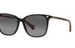 5293 - SHINY BLACK | TORTOISE TEMPLES | GRADIENT GREY | POLARIZED
