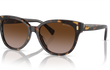5305U - BLACK HAVANA | GRADIENT BROWN | NON-POLARIZED