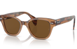 0880S - TRANSPARENT BROWN | BROWN | POLARIZED