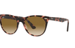WAYFARER II - PINK HAVANA | GRADIENT BROWN