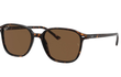 LEONARD SMALL - TORTOISE | BROWN - POLARIZED