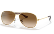COCKPIT MEDIUM - GOLD | GRADIENT BROWN | NON-POLARIZED