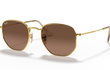 HEXAGONAL LARGE | FLAT LENS - GOLD | GRADIENT GREY | BROWN | NON-POLARIZED