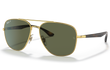 3683 - GOLD | GREEN | POLARIZED