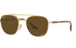3688 - GOLD | BROWN | CHROMANCE - POLARIZED