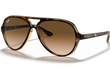 CATS 5000 - TORTOISE | GRADIENT BROWN | NON-POLARIZED