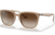 4362 - TURTLE DOVE | GRADIENT BROWN | NON-POLARIZED