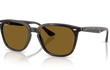 4362 - HAVANA | BROWN | POLARIZED