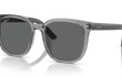 4401D - TRANSPARENT GREY | DARK GREY | POLARIZED
