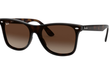 BLAZE WAYFARER - LIGHT HAVANA | GRADIENT BROWN