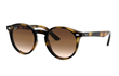JUNIOR 9064S - HAVANA | GRADIENT BROWN | DARK BROWN