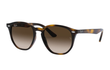 JUNIOR 9070S - HAVANA | GRADIENT BROWN | DARK BROWN