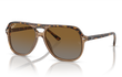 JUNIOR BILL - HAVANA | TRANSPARENT BROWN | BROWN | GREY | POLARIZED