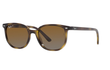 JUNIOR ELLIOT - HAVANA | BROWN - POLARIZED