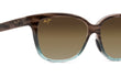 STARFISH - SANDSTONE | BLUE | HCL BRONZE | POLARIZED