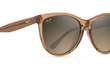 GLORY GLORY - TRANSPARENT CINNAMON | HCL BRONZE - POLARIZED