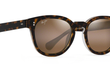 CHEETAH 5 - TORTOISE | CRYSTAL | HCL BRONZE - POLARIZED