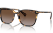 5293 - SHINY HAVANA YELLOW | GRADIENT BROWN - POLARIZED