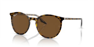 367_RAYBANPIC1.png