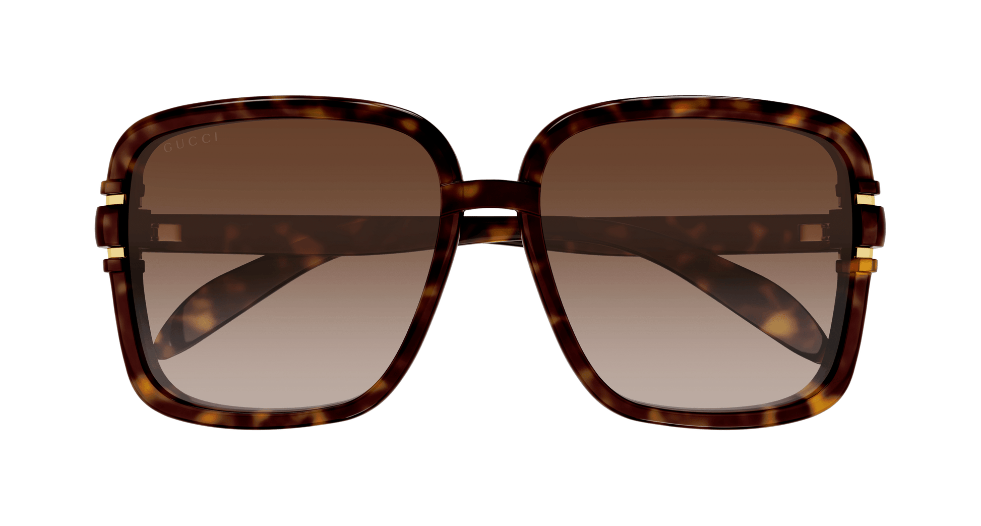 36_GUCCIPIC2.png