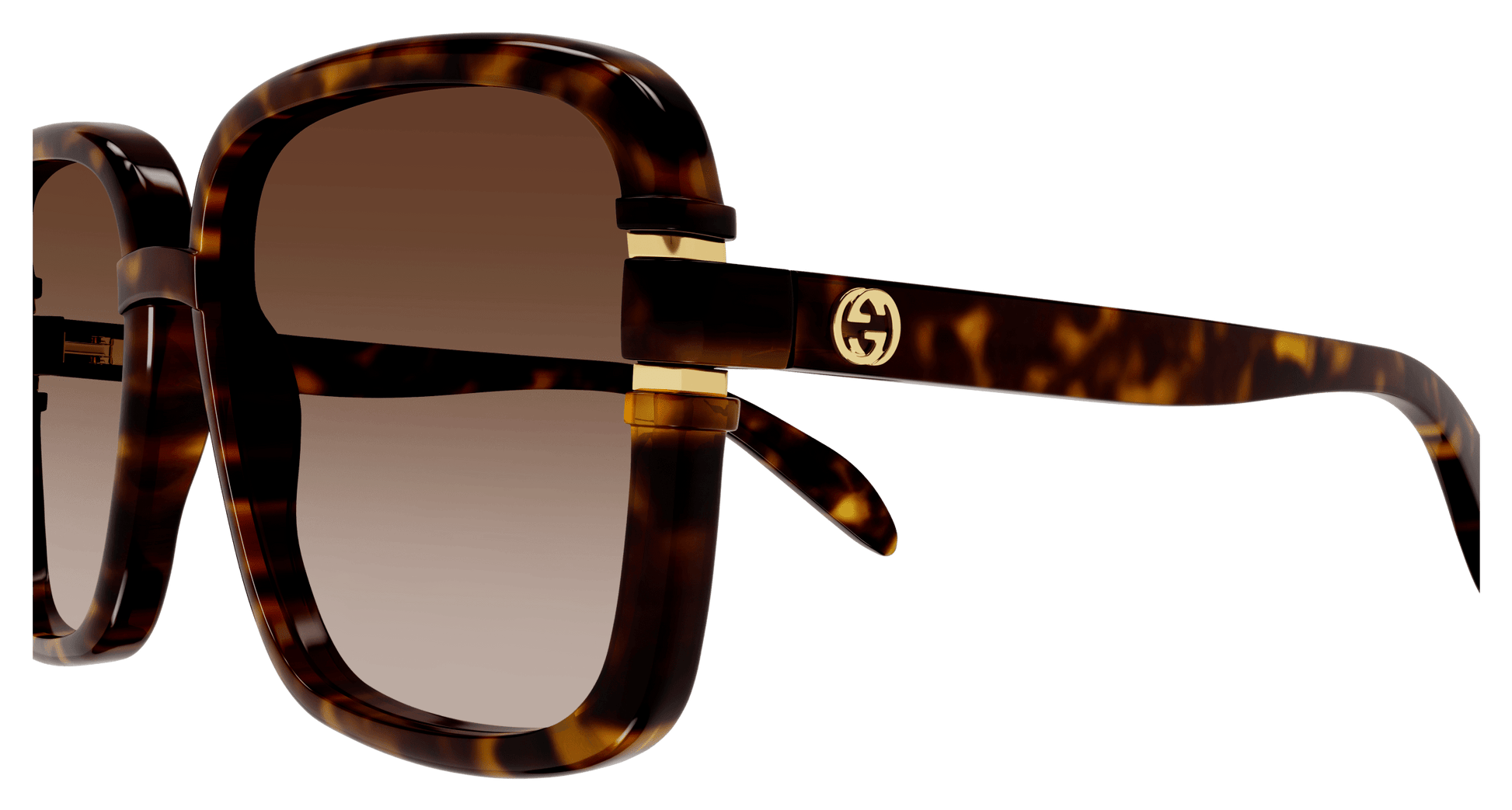 36_GUCCIPIC3.png
