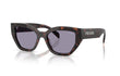 17N03N - ROOT TORTOISE | GREY | NON POLARIZED