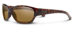 84_SUNCLOUDPIC1.png