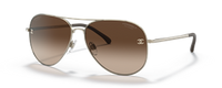 GOLD | GRADIENT BROWN | POLARIZED