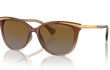 5309U - TRANSPARENT BROWN | GRADIENT BROWN | POLARIZED