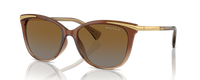 TRANSPARENT BROWN | GRADIENT BROWN | POLARIZED