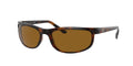 DARK HAVANA | BROWN | NON-POLARIZED