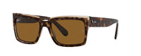 HAVANA | BROWN | POLARIZED