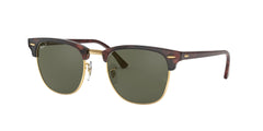 TORTOISE | GOLD | GREEN | POLARIZED