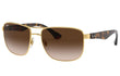3533 - TORTOISE | GOLD | GRADIENT BROWN | NON-POLARIZED