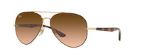GOLD | GRADIENT BROWN | PINK | NON-POLARIZED