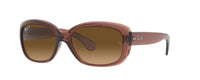 TRANSPARENT PLUM | GRADIENT BROWN | POLARIZED